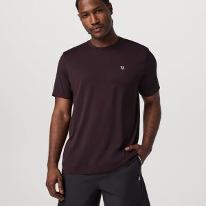 Short Sleeve Clearview Seamless Tee | Raisin