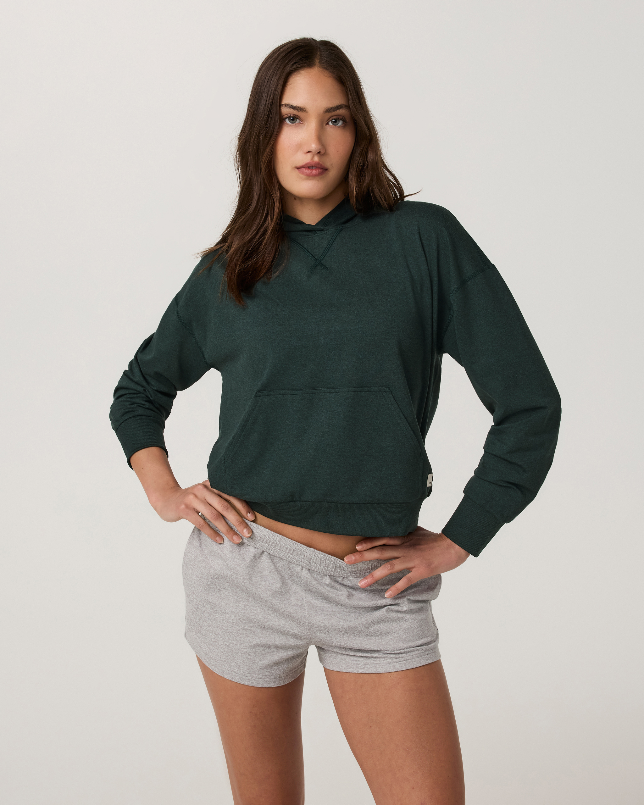 Halo Modern Pullover Hoodie | Hemlock Heather - Image 5