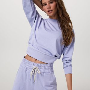 Long Sleeve Halo Crew | Lavender Mist Heather